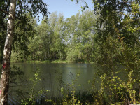 woda_308