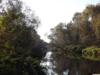 woda_321