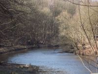 woda_329