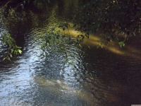 woda_332