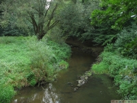 woda_098
