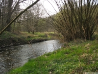 woda_099