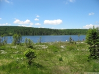 woda_119