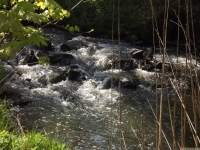 woda_123