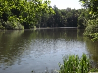 woda_127