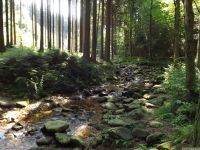 woda_129