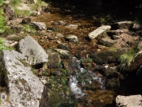 woda_133
