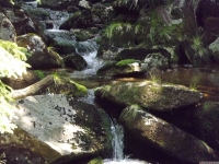 woda_134