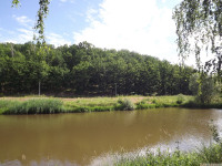 woda_139