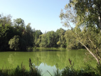 woda_146