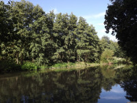 woda_153