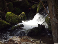 woda_173