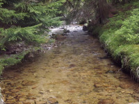 woda_193