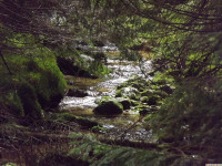 woda_195