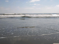 woda_232