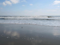woda_233