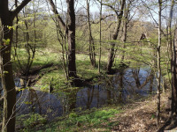 woda_245