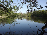 woda_254