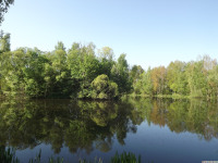 woda_259