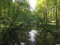 woda_268