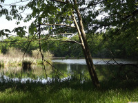 woda_273