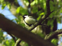 zwierz_1028