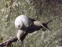 zwierz_1409.jpg