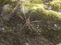 zwierz_709