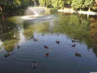 zwierz_719