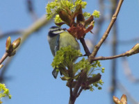 zwierz_843