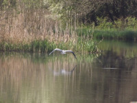 zwierz_860
